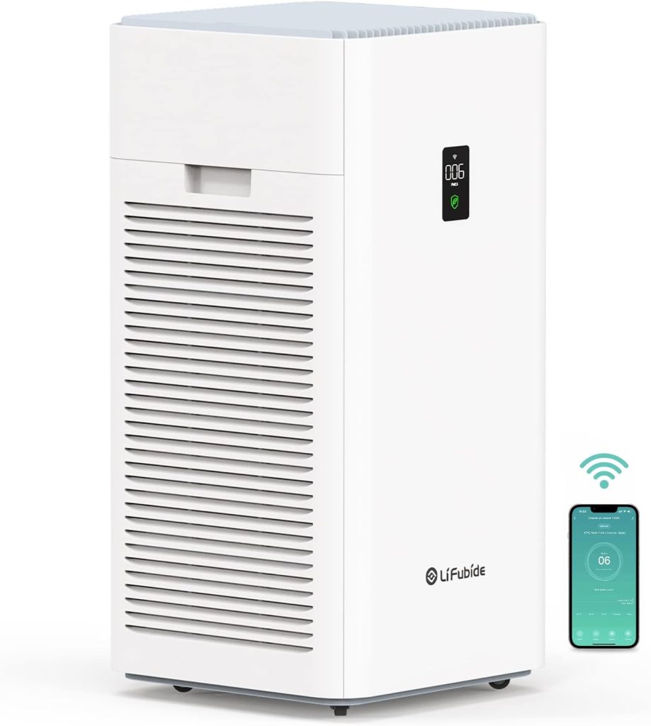 Large Room Air Purifier